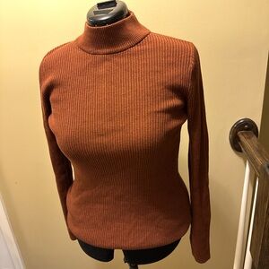 Express rust Cowl Neck Sweater with Chunky Knit
